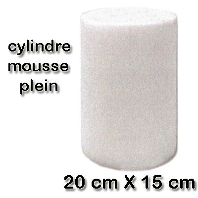 Filtre cylindre mousse 20 cm X 15 cm